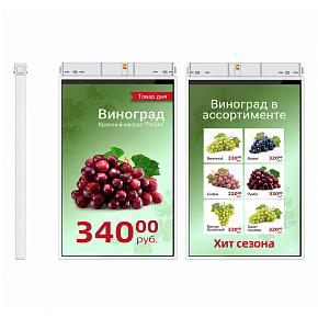 TFT-дисплей MERTECH HL101 Dual 10,1″ White картинка от магазина Кассоптторг